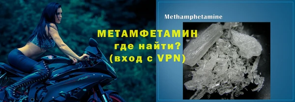 ПСИЛОЦИБИНОВЫЕ ГРИБЫ Вяземский