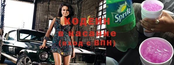 ПСИЛОЦИБИНОВЫЕ ГРИБЫ Вяземский