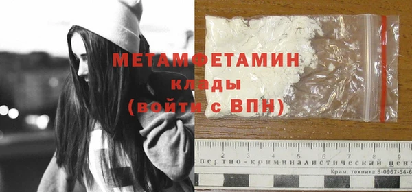 ПСИЛОЦИБИНОВЫЕ ГРИБЫ Вяземский